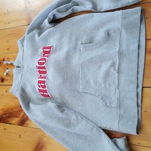 University of Hartford hoodie